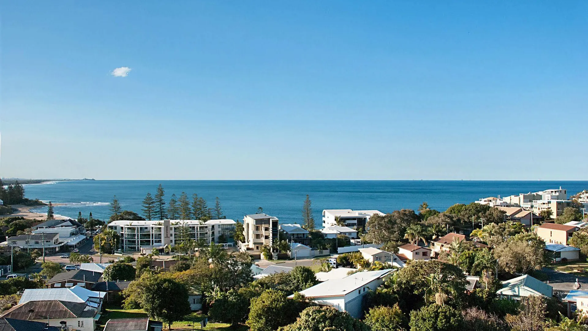 The Norfolks On Moffat Beach Caloundra