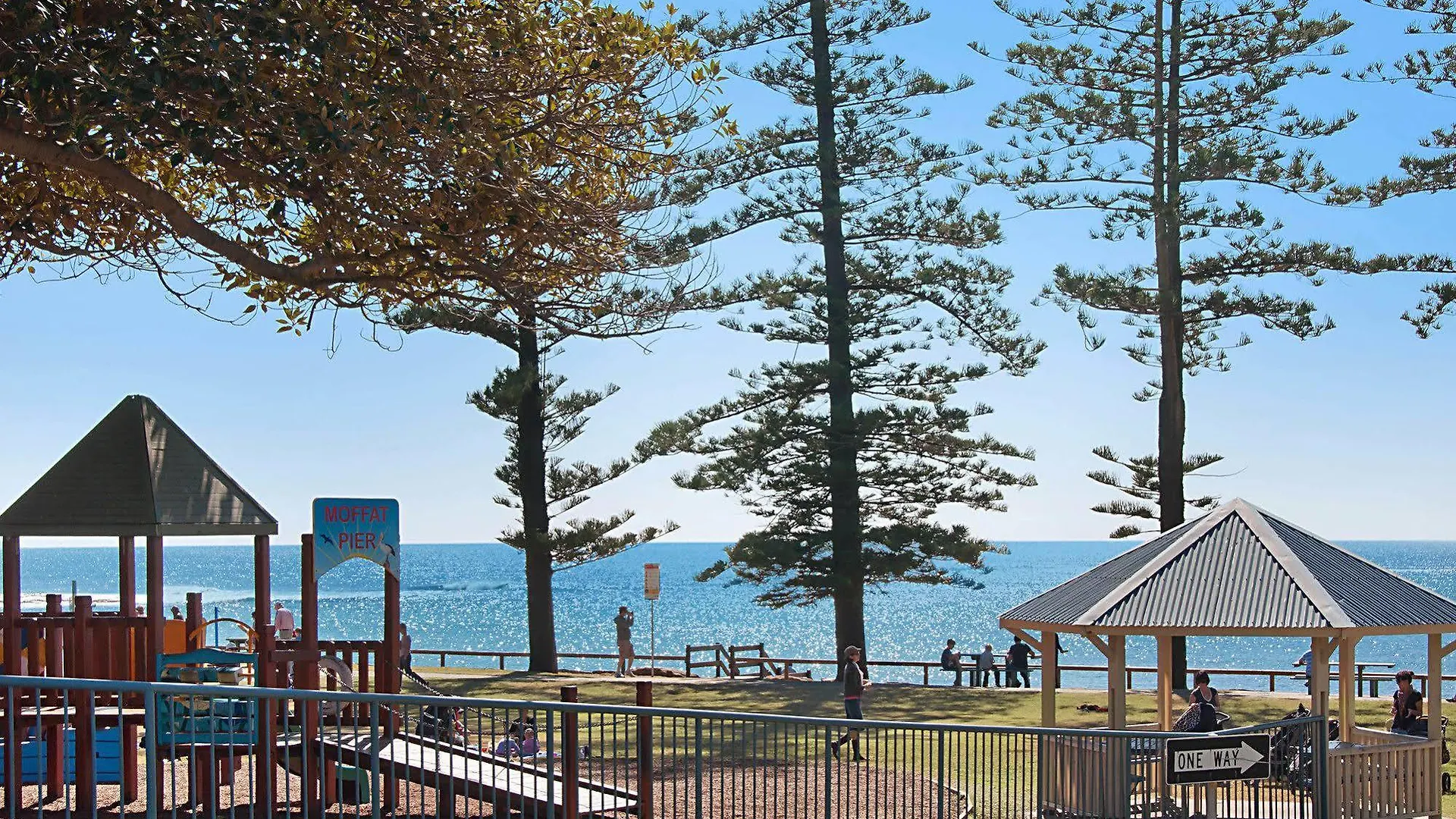 The Norfolks On Moffat Beach Caloundra Australia